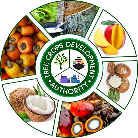 PRIVATE SECTOR, DEVELOPMENT PARTNERS, AND FARMERS PUSH FOR POLICY, CLIMATE ACTION, AND FAIR PRICING