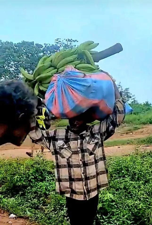 BREAKING: 30-YEAR-OLD MAN ALLEGEDLY CAUGHT STEALING FARM PRODUCE PARADED THROUGH BEGORO